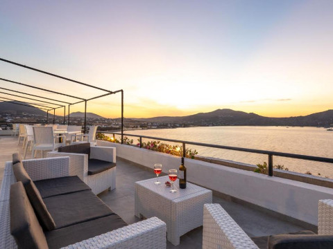Hippocampus Hotel