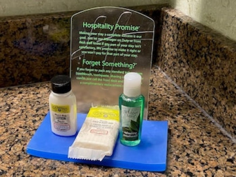 HOLIDAY INN EXPRESS & SUITES ATLANTA BUCKHEAD
