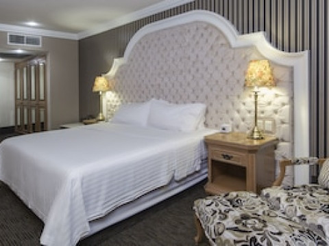 HOLIDAY INN QUERETARO-CENTRO HISTORICO
