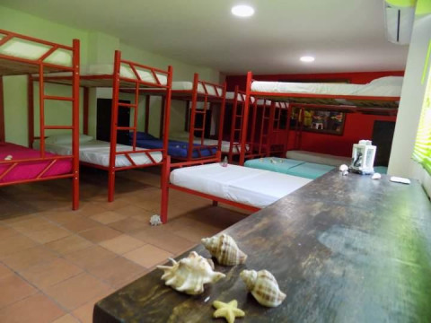 Hostal Caracoles