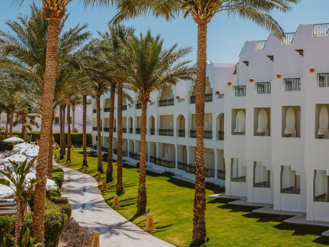 Baron Palms