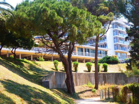 Hotel Albatros - Bb & Hb