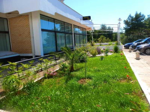 Hotel Albatros - Bb & Hb