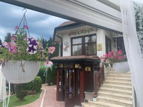 Hotel Alpin Borovets