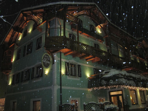 Hotel Alpina