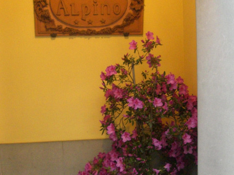 Hotel Alpino