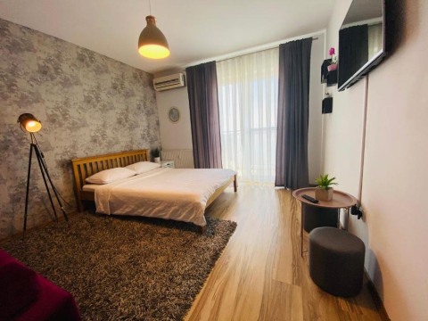 . Gray Apartment Oradea