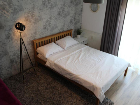 . Gray Apartment Oradea