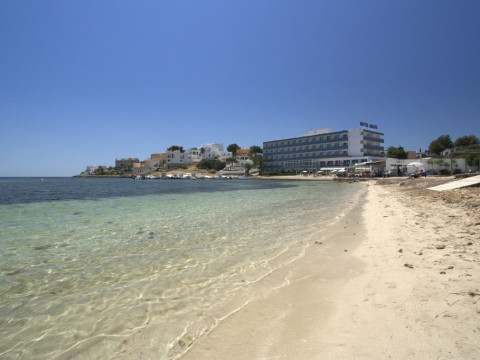 Argos