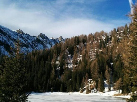 HOTEL ARISTON