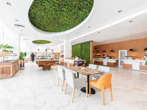 Hotel Bavaro