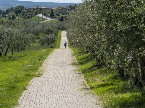 Hotel Borgo di Cortefreda Relais