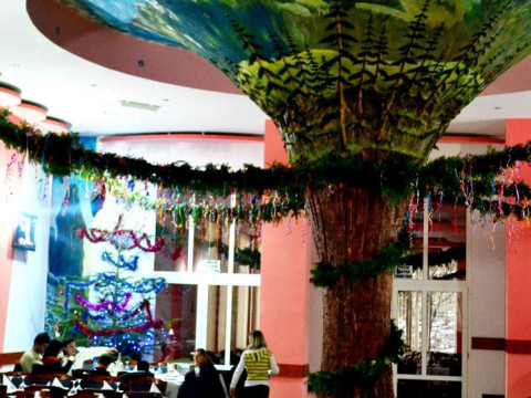 Hotel Bradul