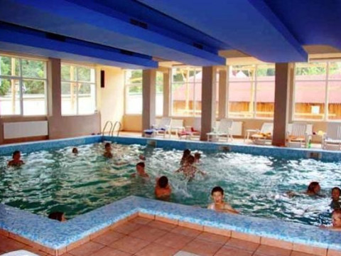 Hotel Bradul