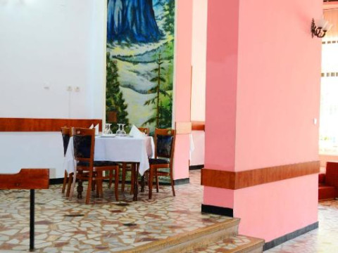 Hotel Bradul