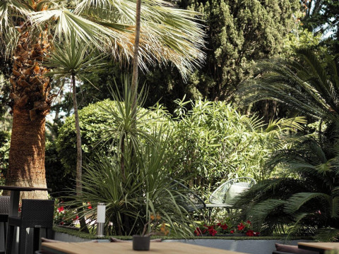 CEZANNE HOTEL