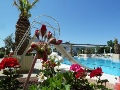 Hotel Cormoran