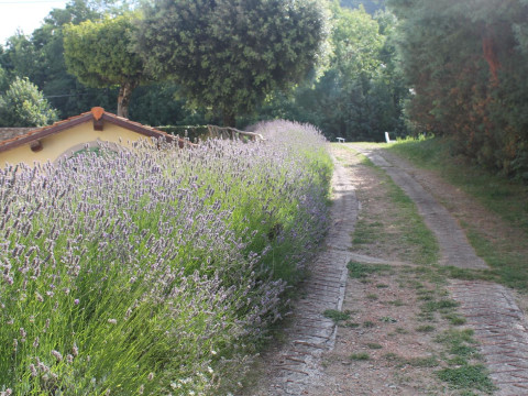 Hotel Croce Di Savoia