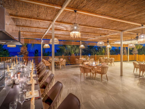 DELPHIN PALACE
