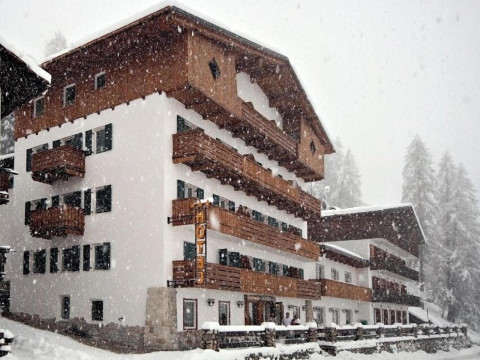 Hotel Des Alpes