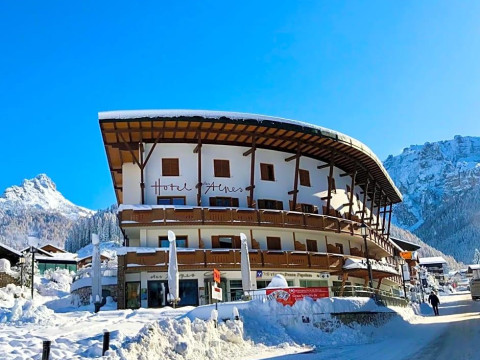 Hotel Des Alpes