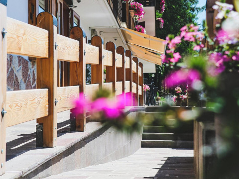 Hotel Des Alpes