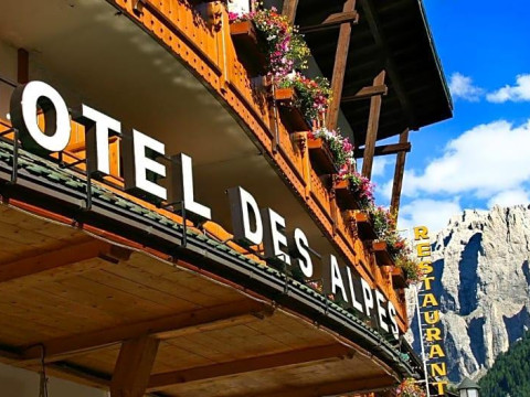 Hotel Des Alpes
