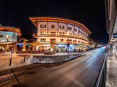Hotel Des Alpes