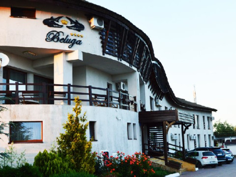 BELUGA RESORT