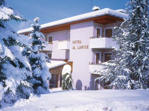 Hotel e Appartamenti Al Larice