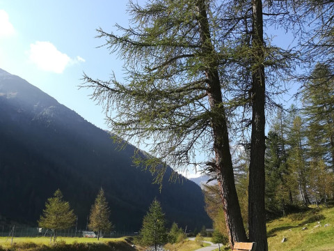 Hotel Galli
