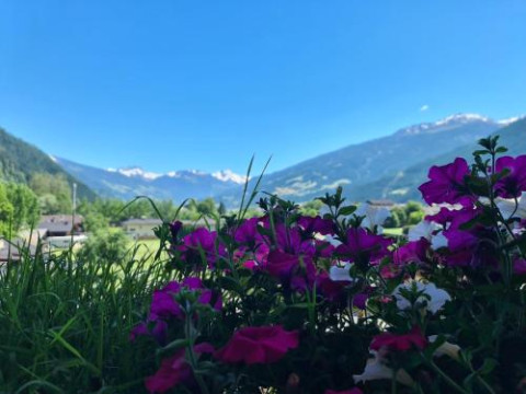 HOTEL GIESSENBACH