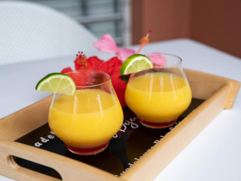 Hotel Guadeloupe Palm Suites