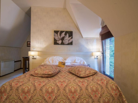 HOTEL IOANA