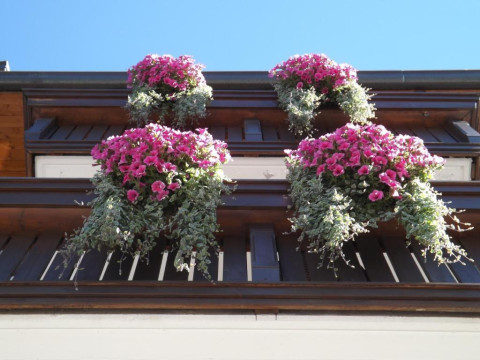 Hotel Irma