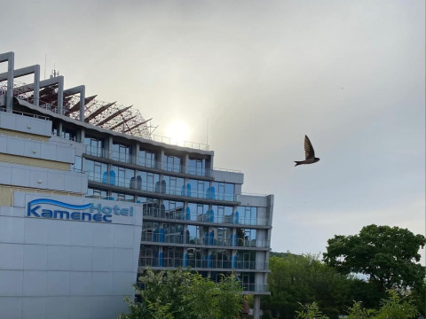 HOTEL KAMENEC