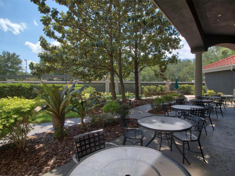Hotel La Quinta by Wyndham Orlando I Drive/Conv Center