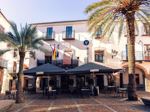 Hotel Las Palmeras By Vivere Stays