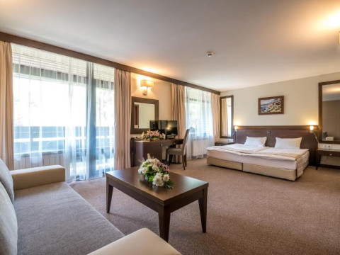 LION HOTEL BOROVETS
