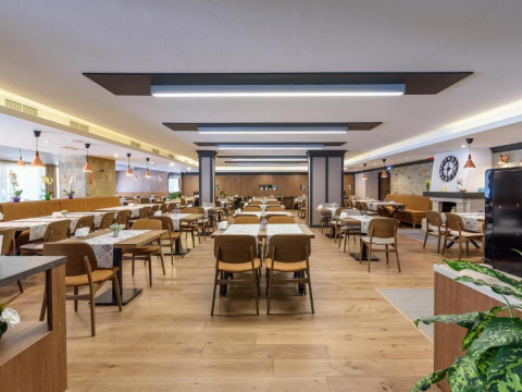 LION HOTEL BOROVETS