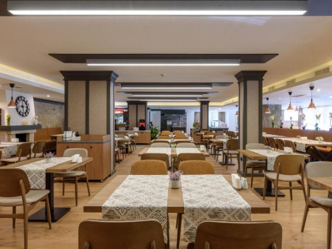 LION HOTEL BOROVETS