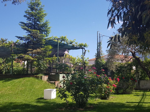 MACEDON HOTEL