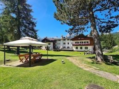 Menardi