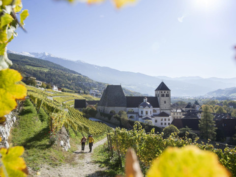 Hotel Millanderhof