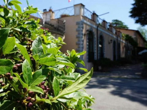 Hotel Ristorante Villa Icidia