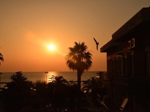 Hotel Sayonara