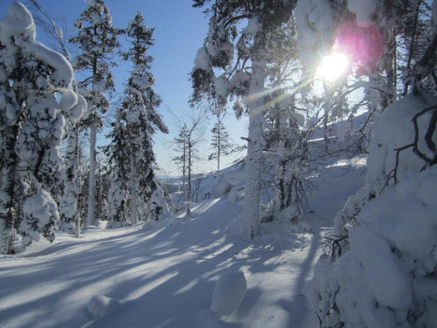 Charter Laponia - Hotel Sodankyla