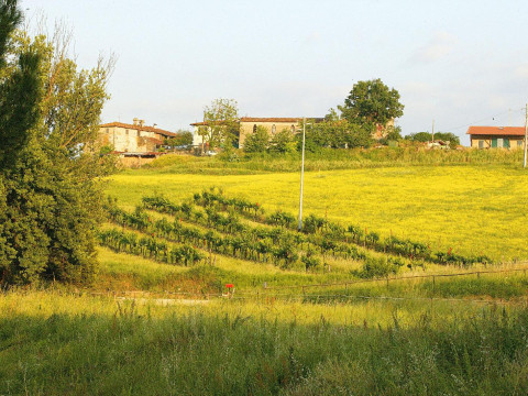 Hotel Tenuta Il Burchio