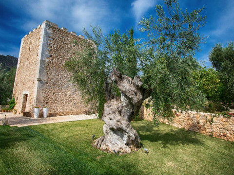 Hotel Torre Santamaria