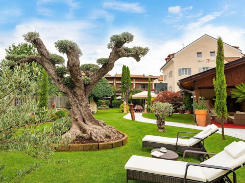 Hotel Traube